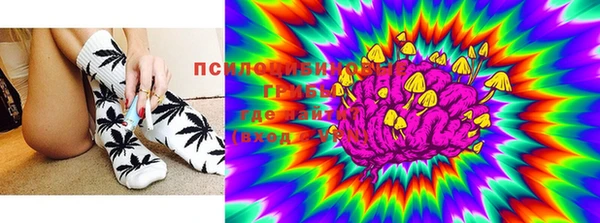 стафф Белокуриха