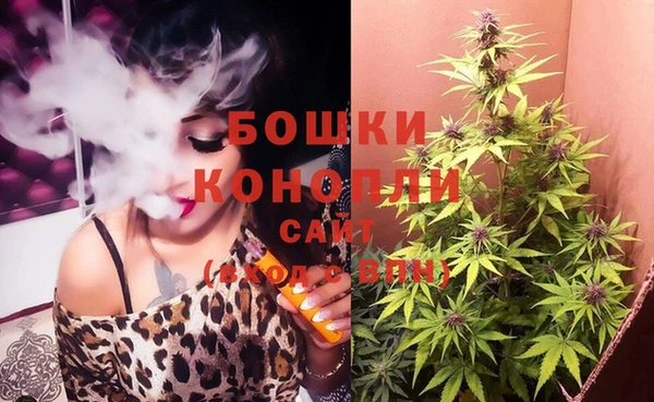 стафф Белокуриха