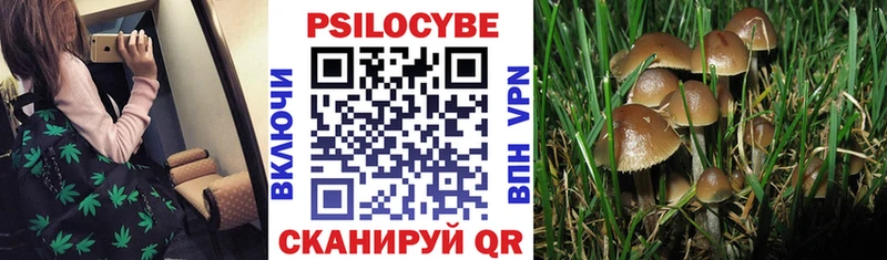 Псилоцибиновые грибы Magic Shrooms  наркотики  Вольск 